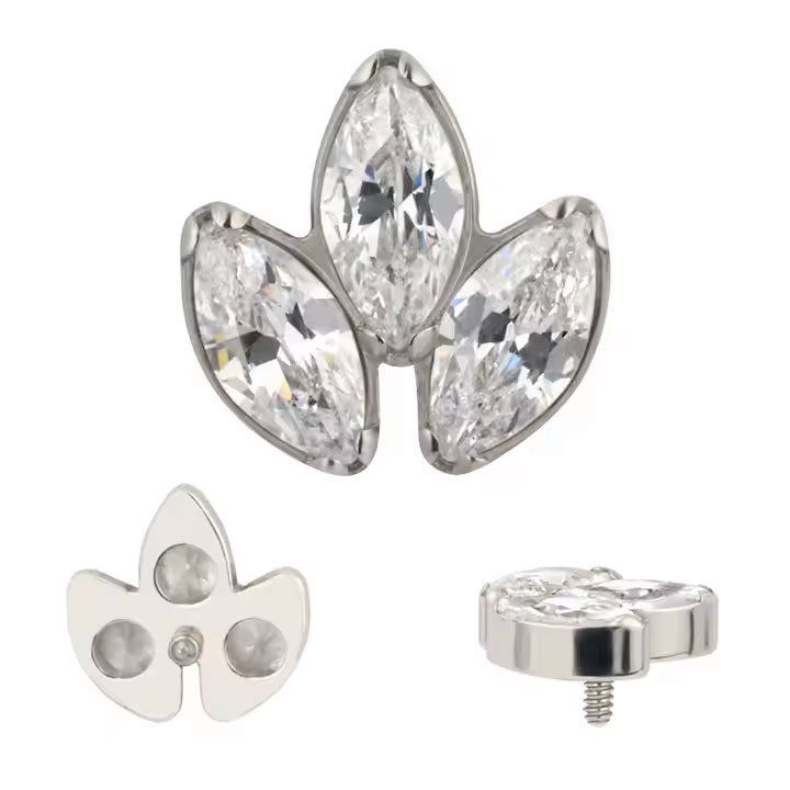 Triple Marquise Hoja ASTM F-136